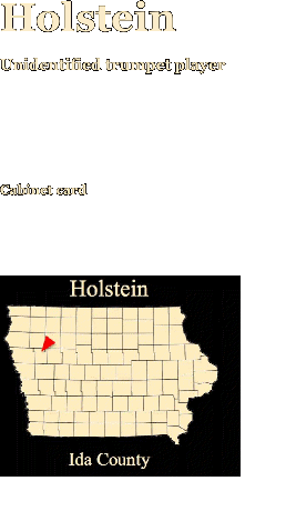 Holstein    