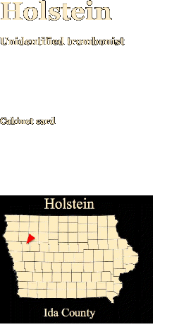 Holstein    